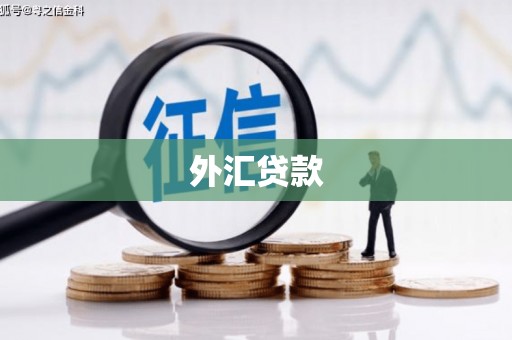 淮安外汇贷款