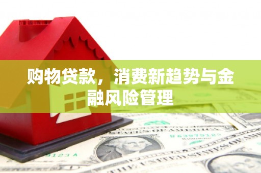 淮安购物贷款，消费新趋势与金融风险管理