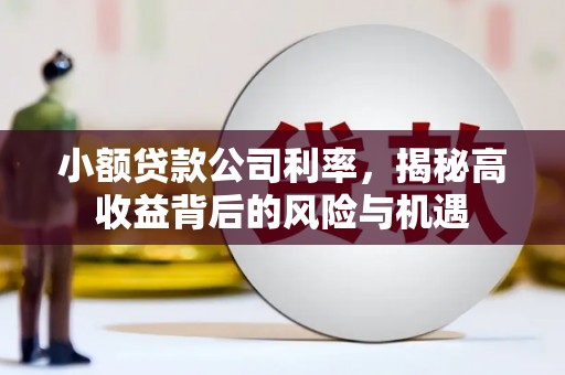 淮安小额贷款公司利率，揭秘高收益背后的风险与机遇