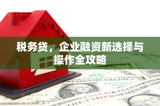 淮安税务贷，企业融资新选择与操作全攻略