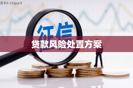 淮安贷款风险处置方案