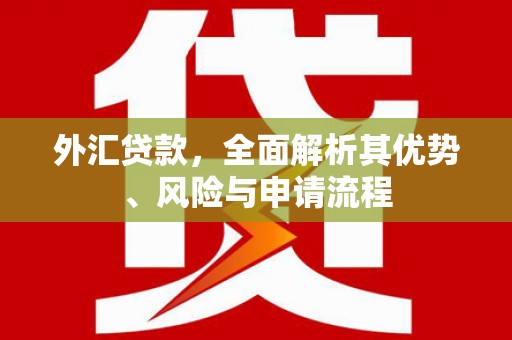 淮安外汇贷款，全面解析其优势、风险与申请流程