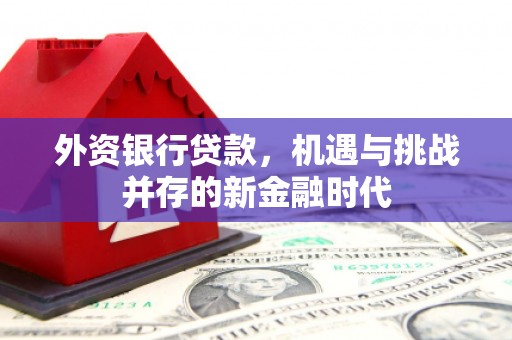 淮安外资银行贷款，机遇与挑战并存的新金融时代