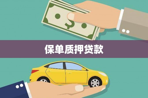 淮安保单质押贷款