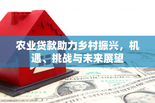 淮安农业贷款助力乡村振兴，机遇、挑战与未来展望