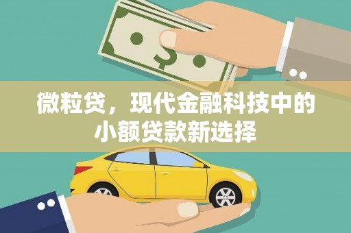 淮安微粒贷，现代金融科技中的小额贷款新选择