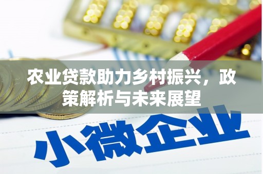 淮安农业贷款助力乡村振兴，政策解析与未来展望