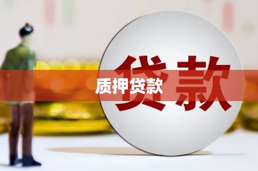 淮安质押贷款