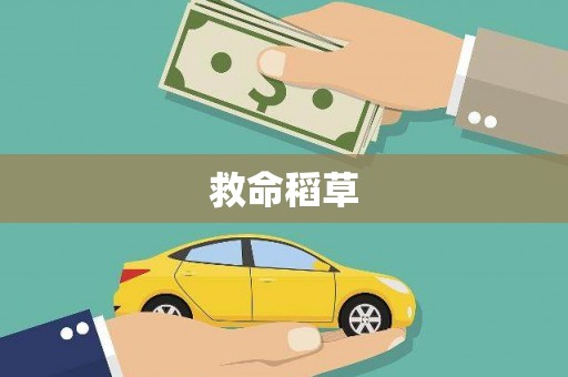 淮安救命稻草