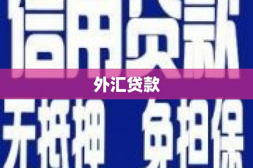淮安外汇贷款