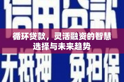 淮安循环贷款，灵活融资的智慧选择与未来趋势