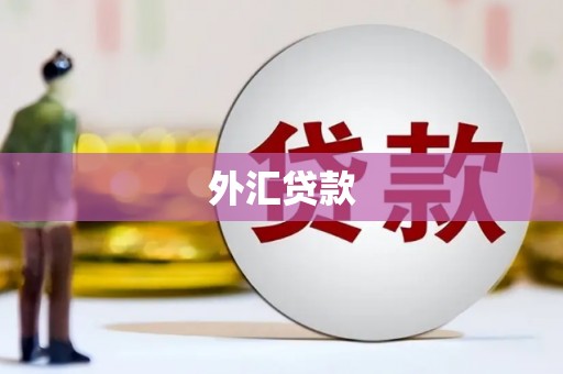 淮安外汇贷款