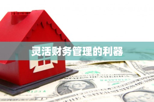 淮安灵活财务管理的利器