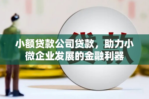 淮安小额贷款公司贷款，助力小微企业发展的金融利器