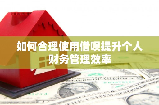 淮安如何合理使用借呗提升个人财务管理效率