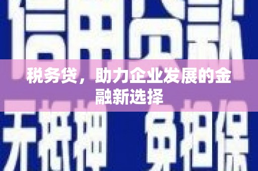 淮安税务贷，助力企业发展的金融新选择