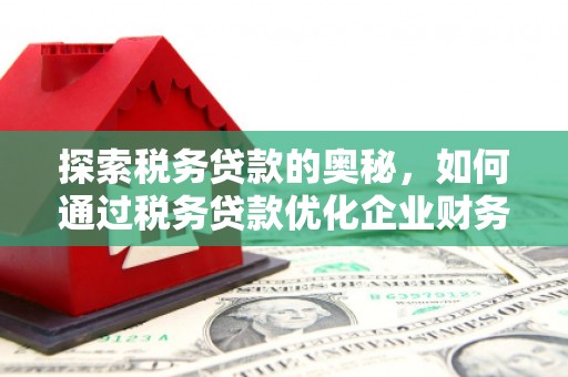 淮安探索税务贷款的奥秘，如何通过税务贷款优化企业财务