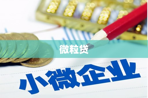 淮安微粒贷