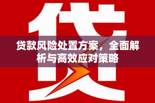 淮安贷款风险处置方案，全面解析与高效应对策略