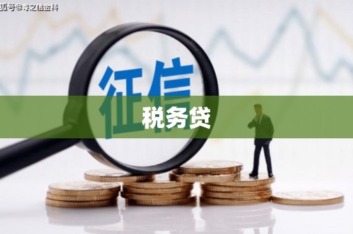 淮安税务贷