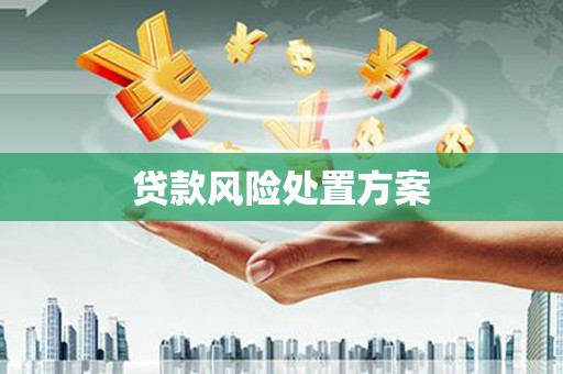 淮安贷款风险处置方案