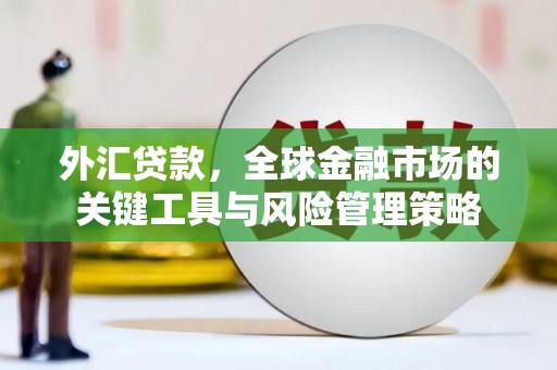 淮安外汇贷款，全球金融市场的关键工具与风险管理策略