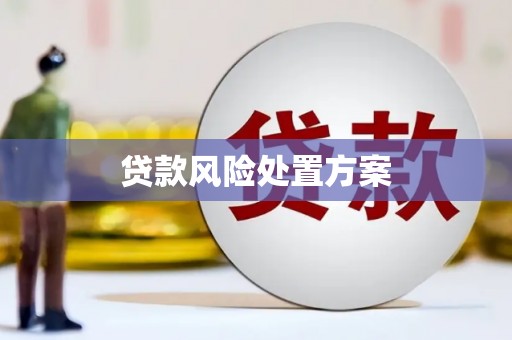 淮安贷款风险处置方案