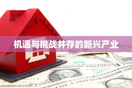 淮安机遇与挑战并存的新兴产业
