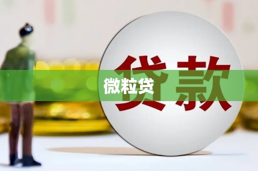 淮安微粒贷