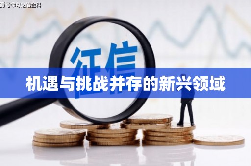 淮安机遇与挑战并存的新兴领域