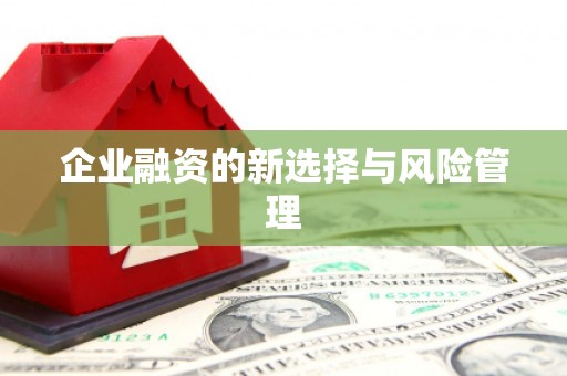 淮安企业融资的新选择与风险管理