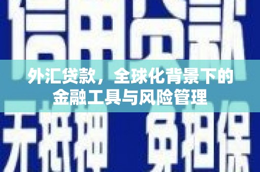 淮安外汇贷款，全球化背景下的金融工具与风险管理
